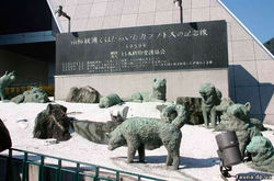 Sakhalin husky