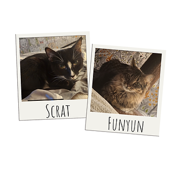 Scrat&Funyun.png