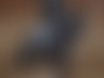 A Special Tribute to My Senior Horse Clients