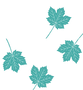 Ferns.png