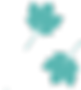 Ferns_edited.png