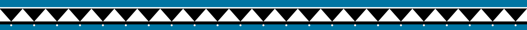 Sailaq Consulting brand graphic by Z Squared Studio