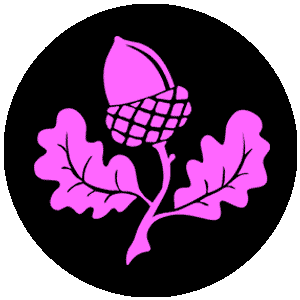 Trachtlerin Frontpage Logo