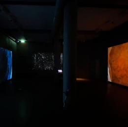 Immersive exhibtion 2023-2024