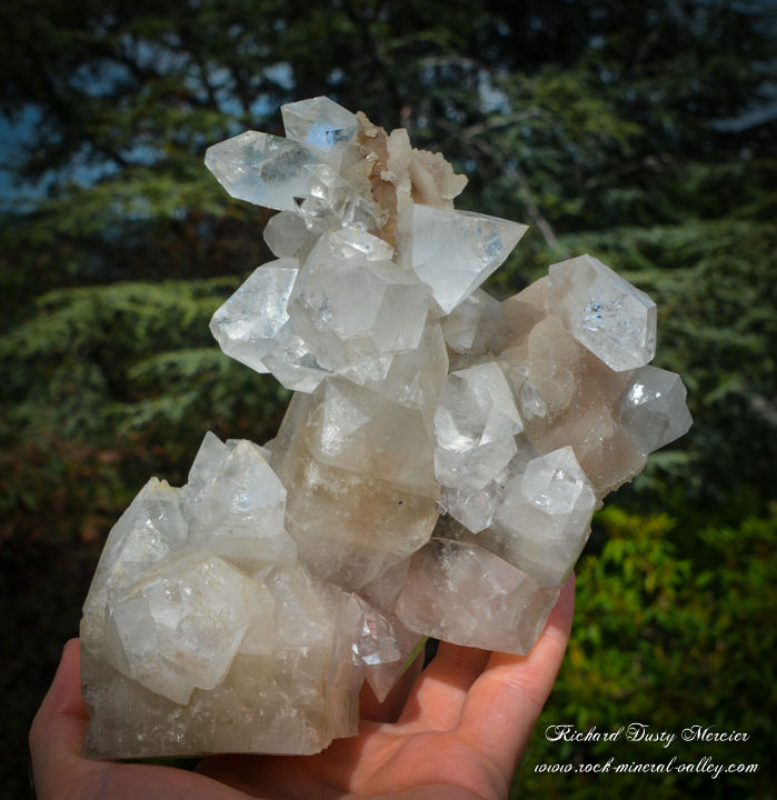 Miniature : Stalactite de Calcite et d'Apophyllite