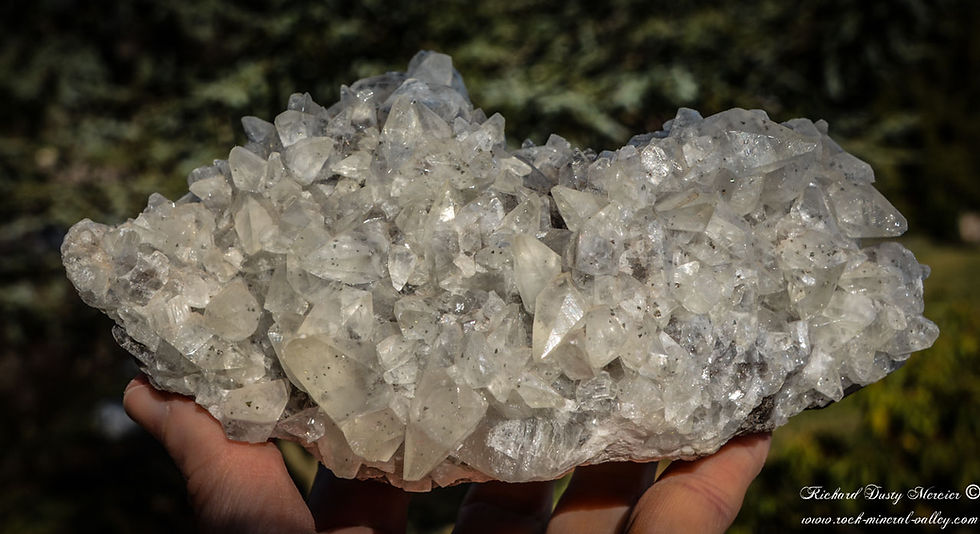Miniature : Calcite dogtooth gemme sur Basalte de Valcan Quarry, USA