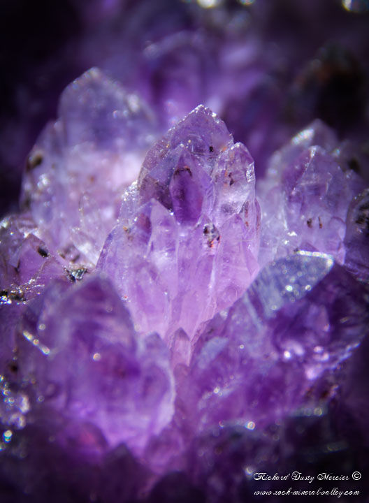 Miniature : Fleur d'Améthyste fantômes avec Chalcopyrite de Bulgarie