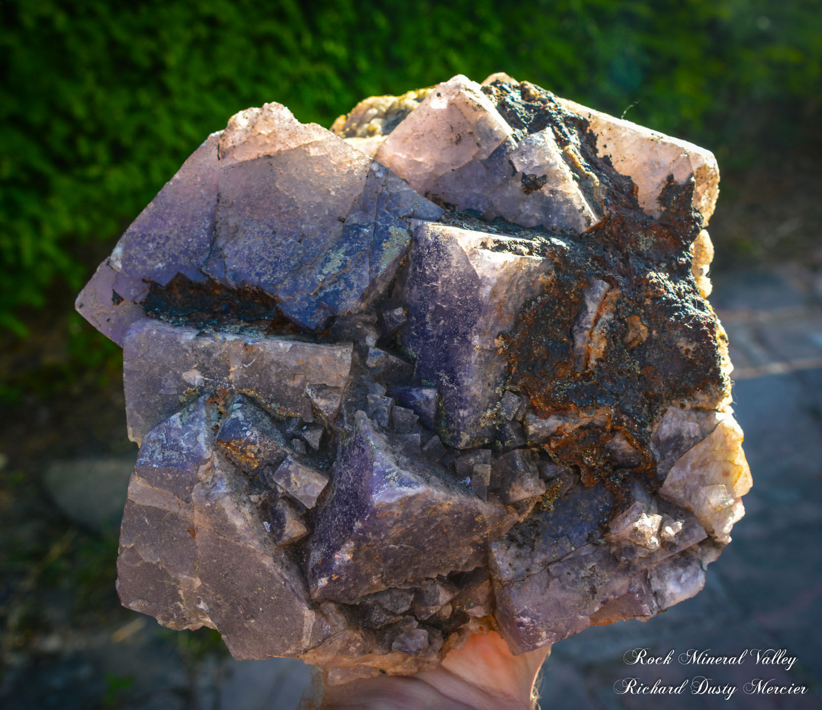 Fluorite de El Hammam, Maroc