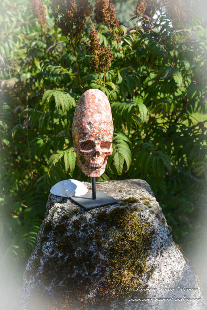 Miniature : Crane de Cristal Inca en Jaspe Astéroïde "L'Anunnaki"