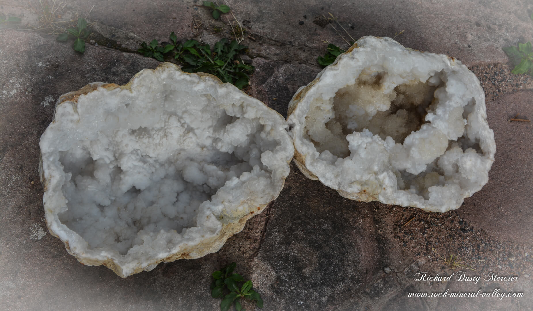 Géode de Quartz avec Calcite dents de chiens et Calcédoine XL