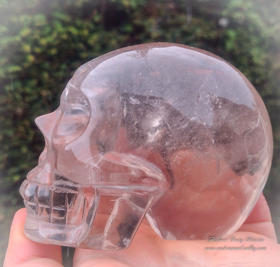Miniature : Crane de Cristal en Quartz Fumé arc-en-ciel
