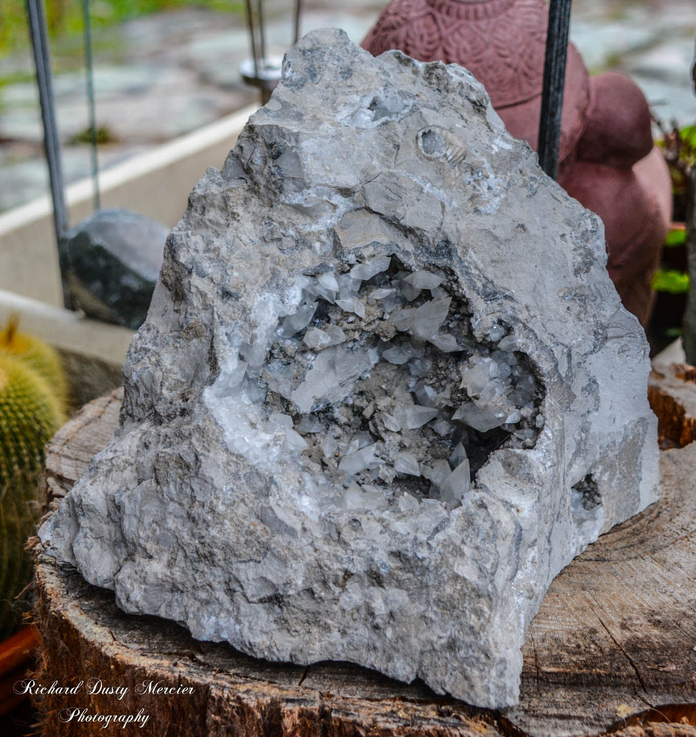 Calcite dans Fossilles de Tarvaux, FR