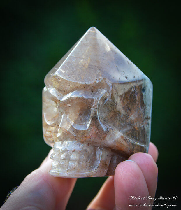 Miniature : Crane de Cristal en Quartz Rutile "Le Chaman"