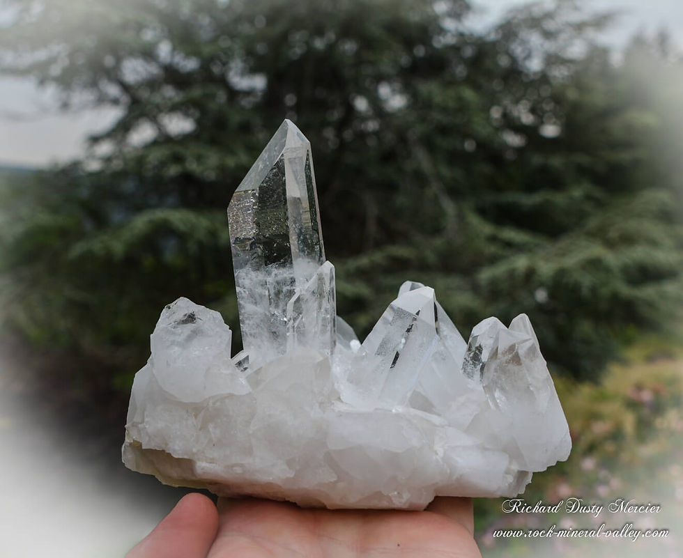 Miniature : Cristaux de Quartz Lémurien du Brésil