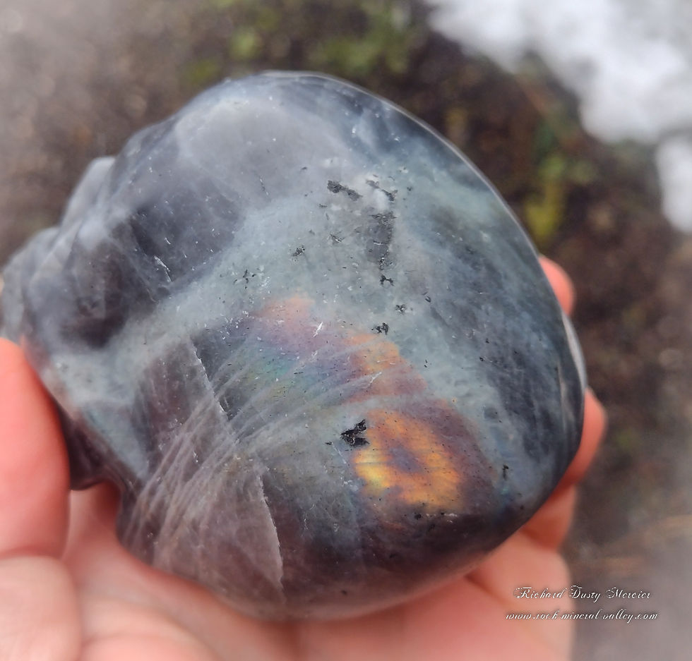 Miniature : Crane de Cristal en Labradorite "Abyss"
