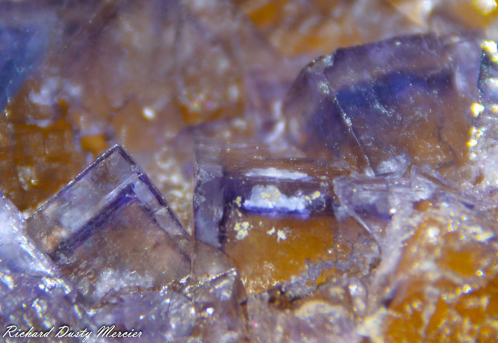 Miniature : Fluorite avec Sphalerite de Denton Mine