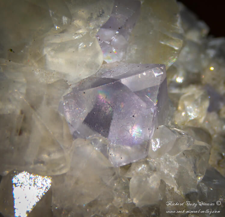 Miniature : Fluorite octaèdre avec Calcite et Pyrite de Naica
