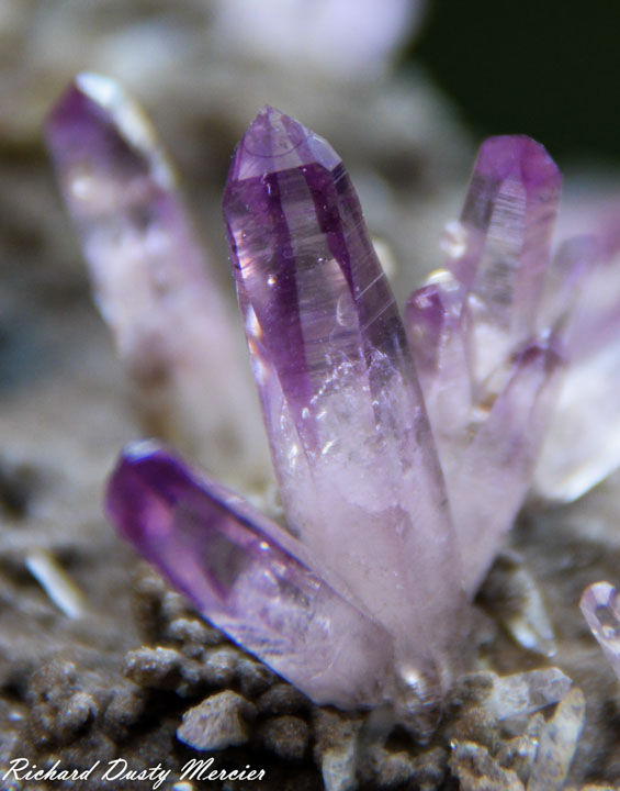 Miniature : Améthyste fantômes avec Calcite de Veracruz, Mexique