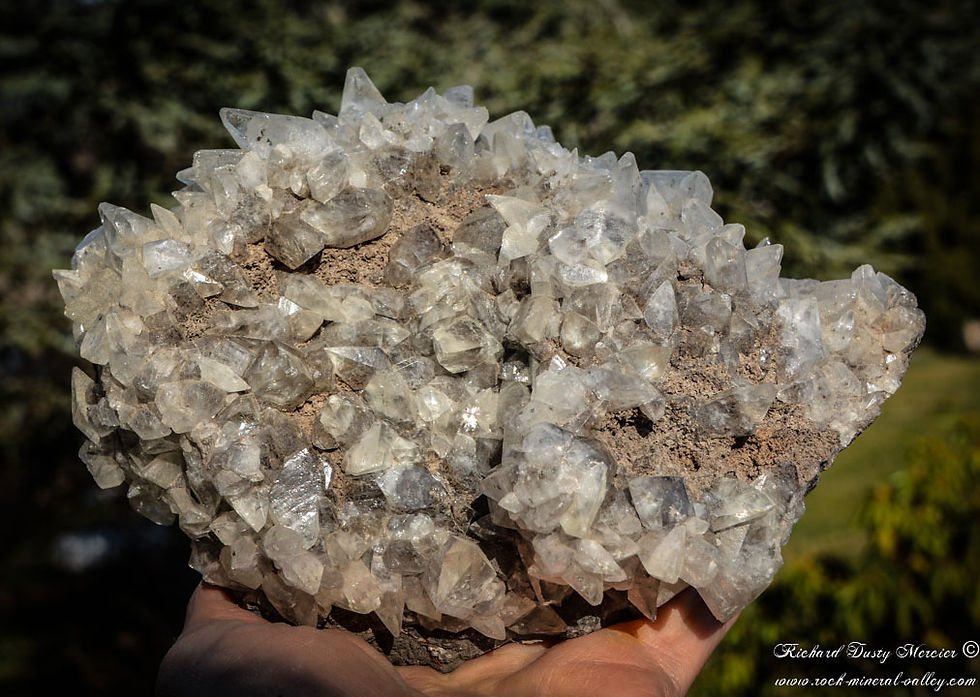 Miniature : Calcite dogtooth gemme sur Basalte de Valcan Quarry, USA