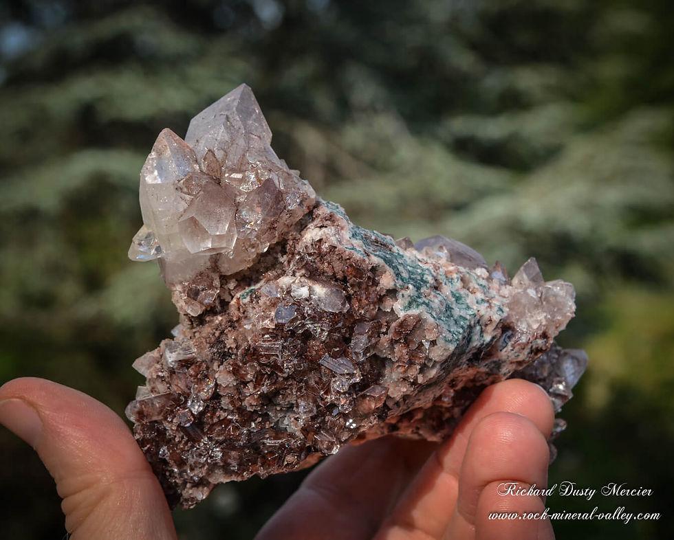 Miniature : Apophyllite chocolat avec Stilbite