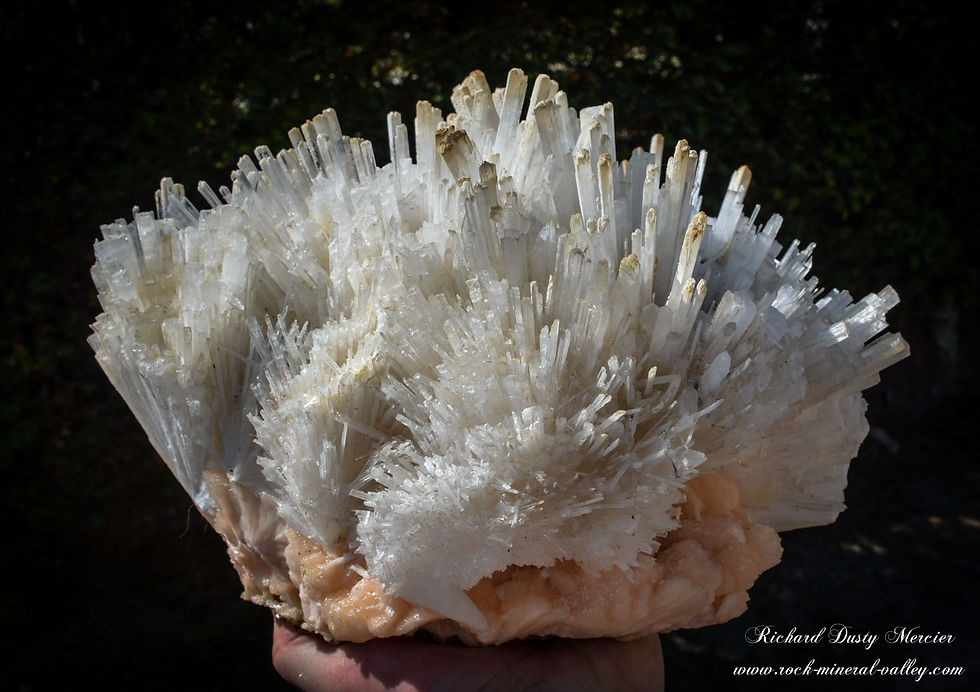 Hérison de Scolecite sur Stilbite