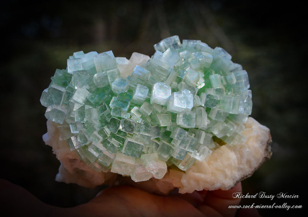 Miniature : Apophyllite verte Disco Ball Stilbite "Well Pocket" Inde