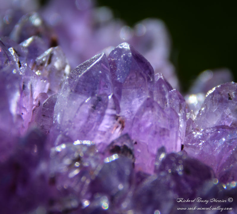 Miniature : Fleur d'Améthyste fantômes avec Chalcopyrite de Bulgarie