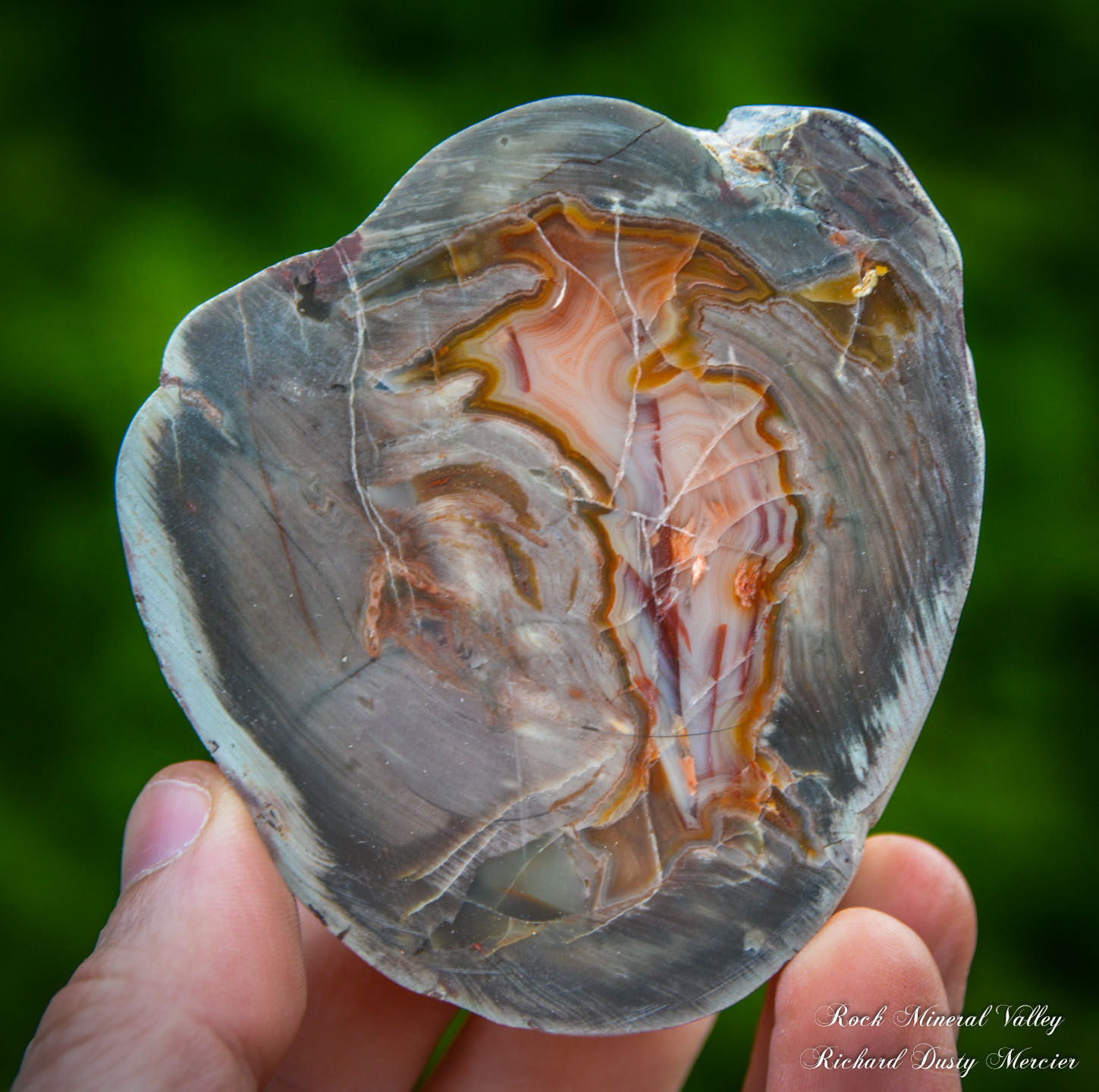 Lythophyse Thundereggs