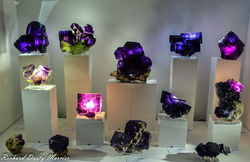 Sainte Marie Aux Mines Show