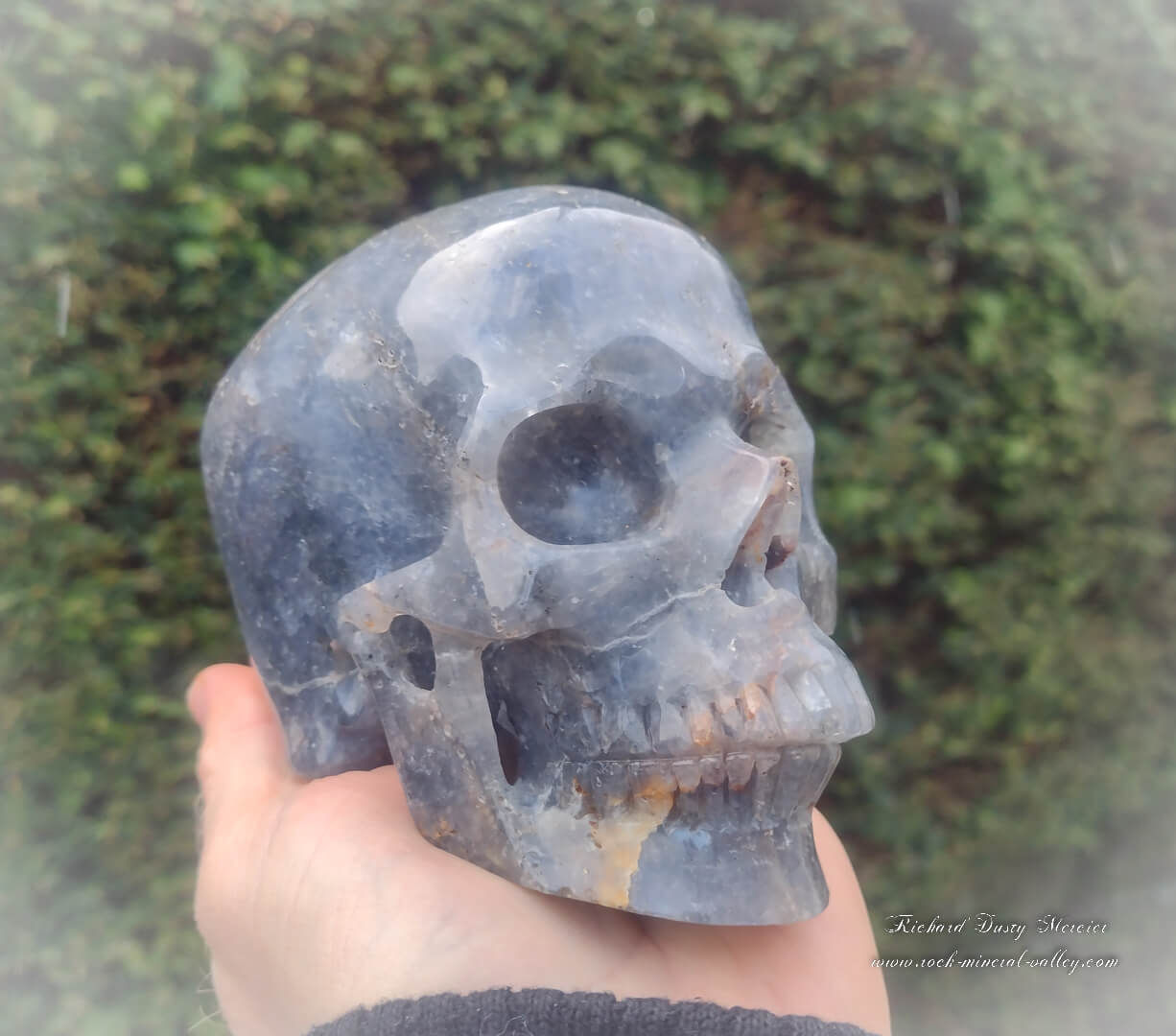 Crane de Cristal en Quartz Bleu de l'Himalaya "Shambala"