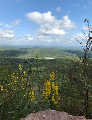 Home Page Mountain Pic for Quote.jpg