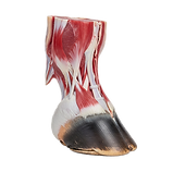 Adobe Express - file (24).png