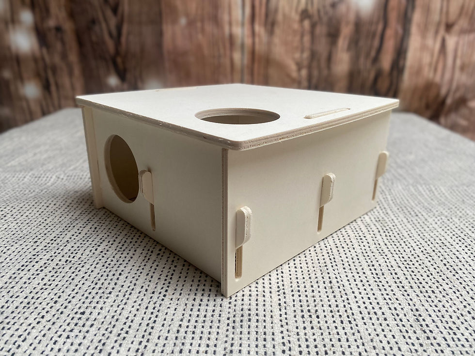 Thumbnail: Dwarf Hamster Chamber House