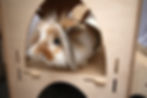Thumbnail: RESERVED for YINYI ** CUSTOM ** Rabbit 3 Storey Triple Turret Castle Kit