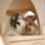 Thumbnail: RESERVED for YINYI ** CUSTOM ** Rabbit 3 Storey Triple Turret Castle Kit