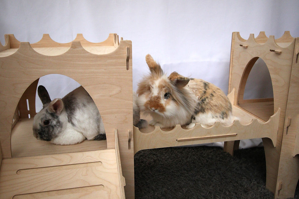Thumbnail: Rabbit Castle Starter Kit - Formaldehyde Free, Non Toxic, Wooden, Slot Together 