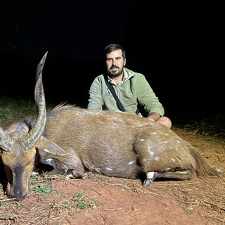Limpopo Bushbuck
Mattanja Hunting Safaris