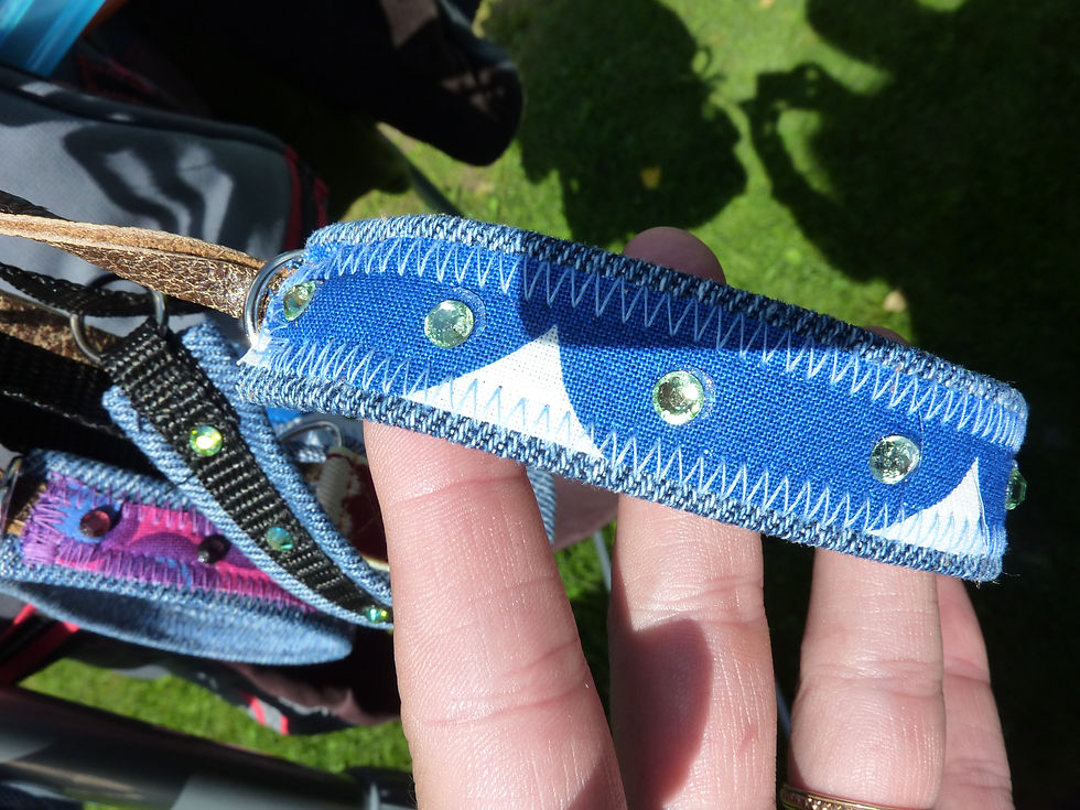 Panta strasseilla