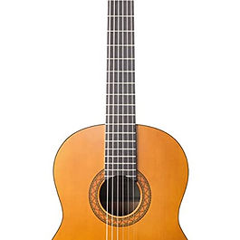 The acoustic Guitars have a hollow body and a sound hole that sits around the middle of the body, beneath the strings. This is usually surrounded by a decorative 'rosette'.