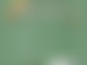 9/21(日)プロと一緒にみんなで雨庭をつくろう〜次世代の日本庭園が豪雨災害から町を守る〜 開催のお知らせ