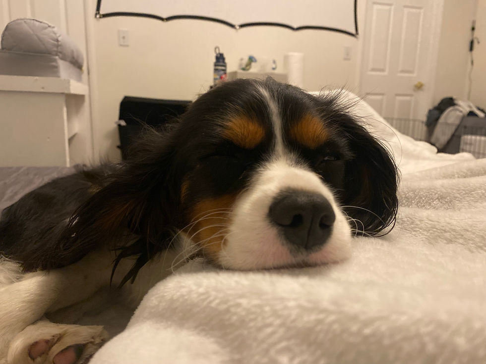 Sleepy Boy