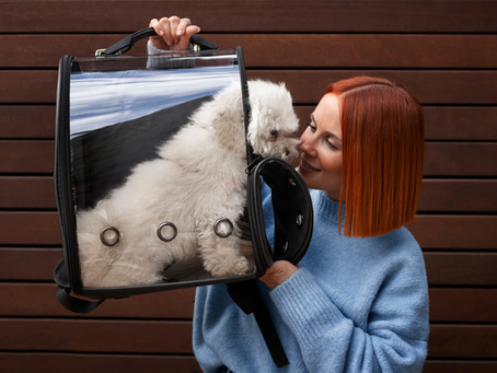 Pet Travel