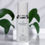 Miniature : QPearl Lightening Complex/ Complexe Éclaircissant