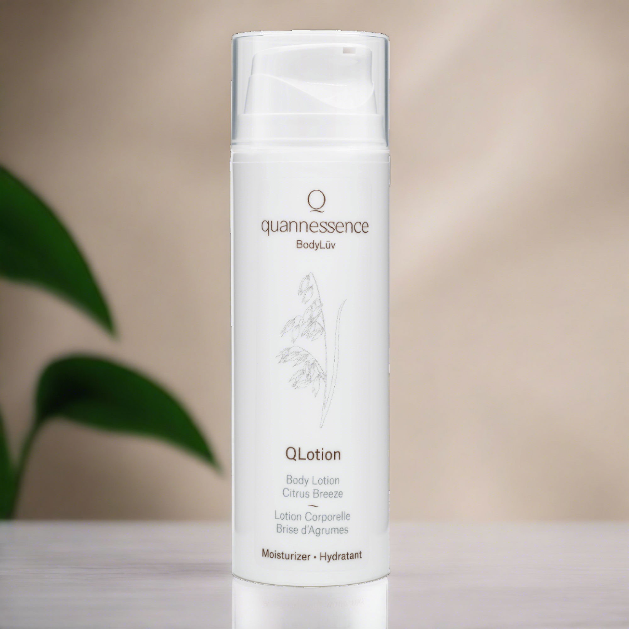 QLotion Body Lotion- Citrus Breeze/ Lotion Corporelle - Brise d'Agrumes