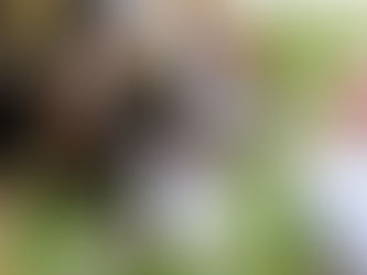 6 equipos se mantienen aún sin conocer la derrota Juvenil “AA” de FADEMAC