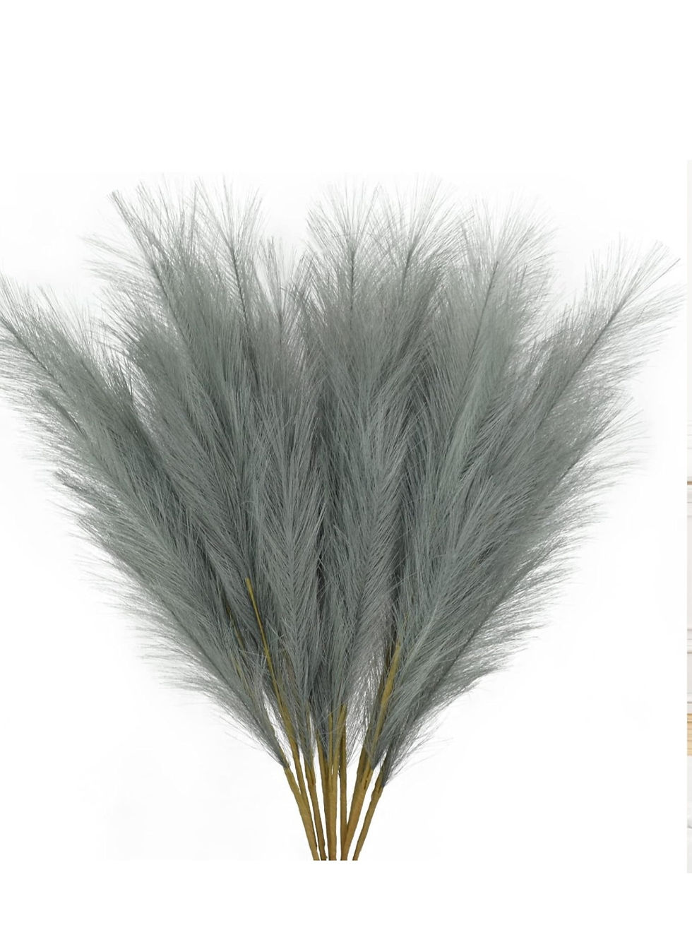 Thumbnail: 6 Spikes of feathers