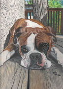 The Artwork of Holly Fox Ellis Pet Portraits
