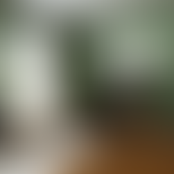 Should you hire a painter, or do the job yourself ? A cost comparison.