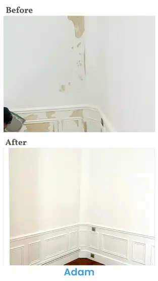 Interior Painting - Castle, Belfast