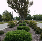 blaze landscaping fall maintenance
